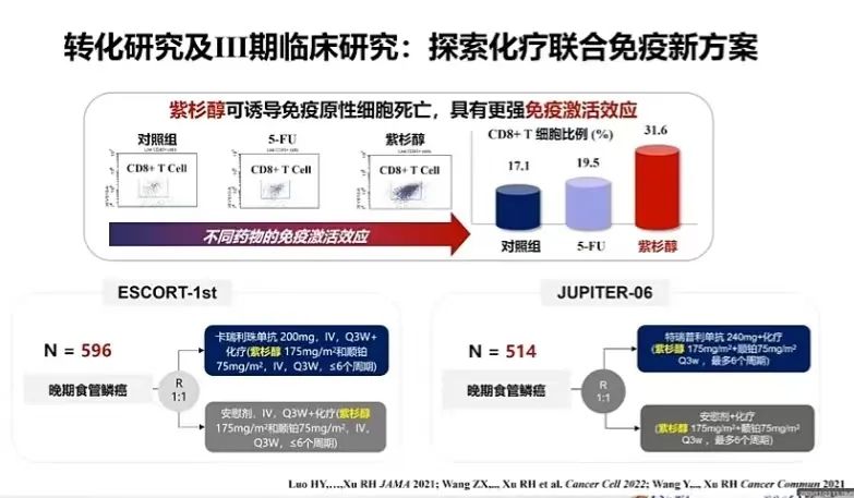 精準(zhǔn)醫(yī)學(xué)在腫瘤免疫治療中的應(yīng)用及前景展望