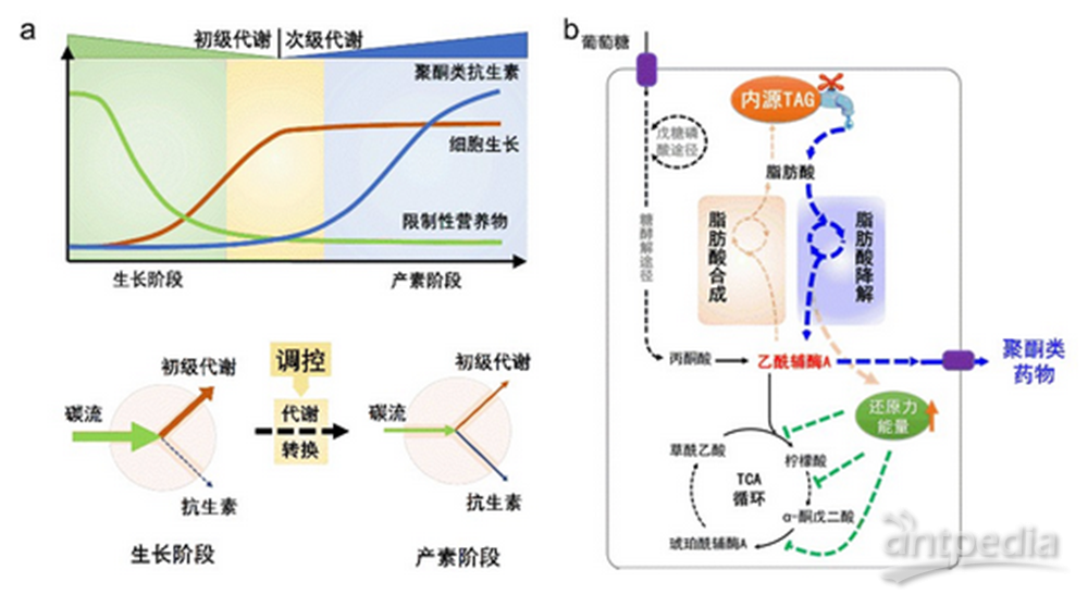 智能藥物配送，提升醫(yī)療效率的關(guān)鍵角色