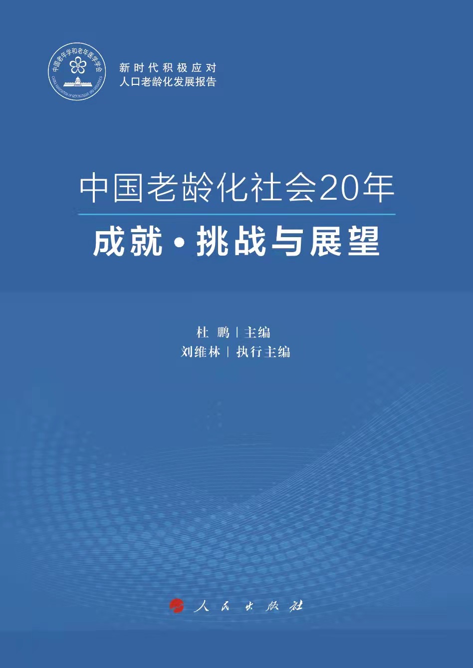 全球人口老齡化對(duì)社會(huì)帶來的挑戰(zhàn)與影響分析