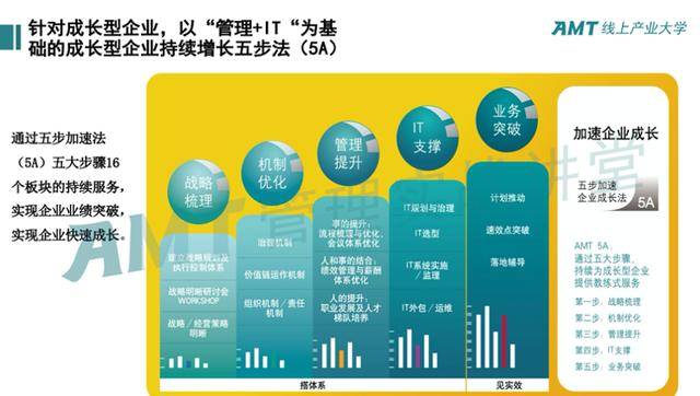 企業(yè)可持續(xù)發(fā)展戰(zhàn)略的實施路徑探索