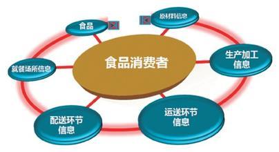 大數據在公共安全決策中的關鍵應用與支持作用