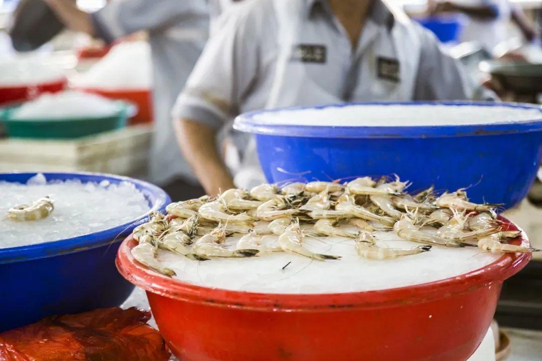 食品科技助力產(chǎn)業(yè)升級(jí)，食品科技的力量推動(dòng)食品行業(yè)變革