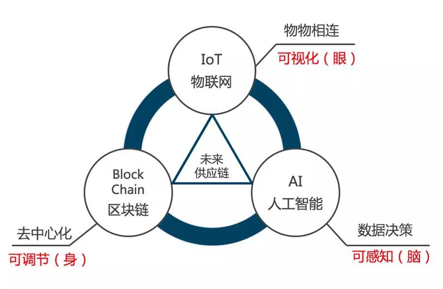 數(shù)字經(jīng)濟(jì)重塑全球供應(yīng)鏈結(jié)構(gòu)的新格局與趨勢(shì)分析