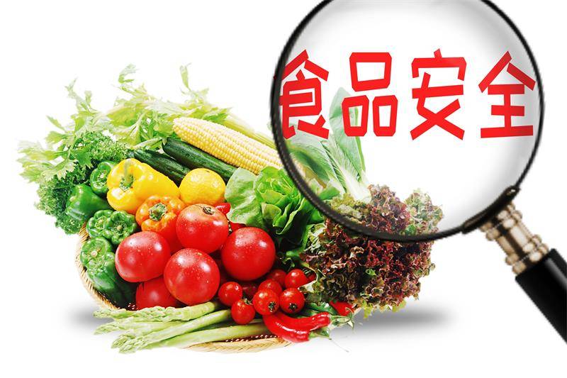 食品安全技術(shù)保障全球食品產(chǎn)業(yè)質(zhì)量提升的措施與策略