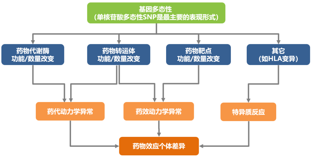 基因組學(xué)研究助力新藥物研發(fā)進程推進