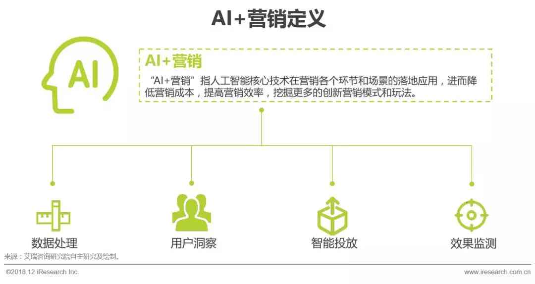 人工智能優(yōu)化客戶體驗(yàn)與服務(wù)效率的策略探討