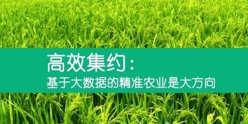 智能農(nóng)業(yè)推動精準農(nóng)田管理與增產(chǎn)增效之道