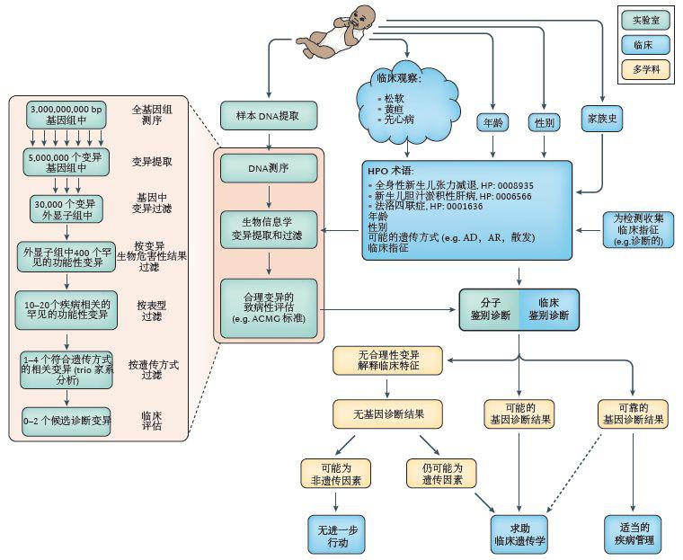 基因組學(xué)，疾病預(yù)防的新思路與策略