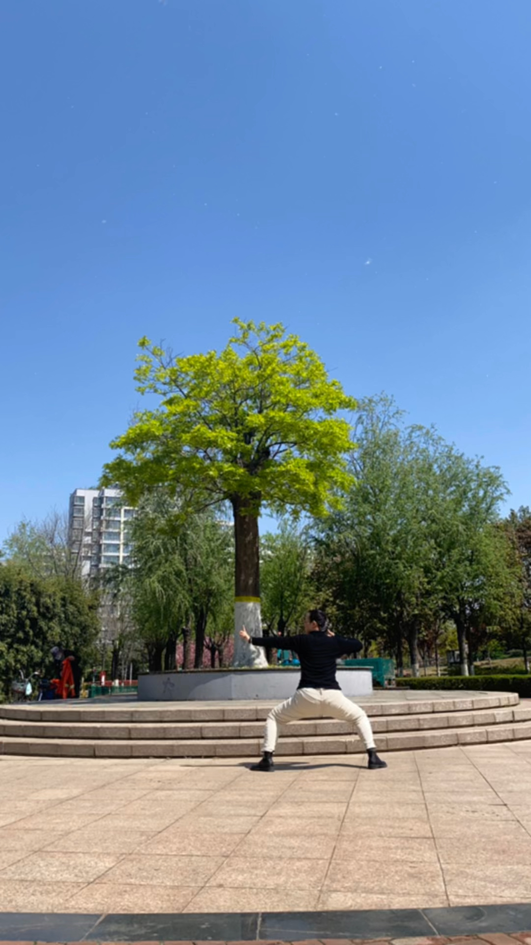 晨光中的修煉之旅，八段錦與花花小樹的成長故事