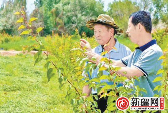 精準(zhǔn)農(nóng)業(yè)技術(shù)支持下的家庭園藝種植實(shí)踐