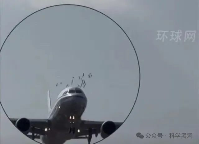 韓國機(jī)場客機(jī)驚險(xiǎn)降落失敗瞬間與原因深度解析