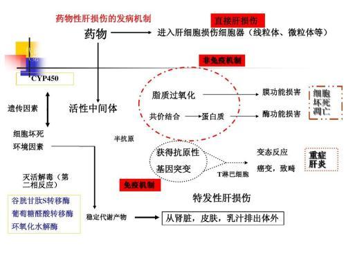 腦波調(diào)節(jié)技術(shù)，緩解城市生活壓力的新方法