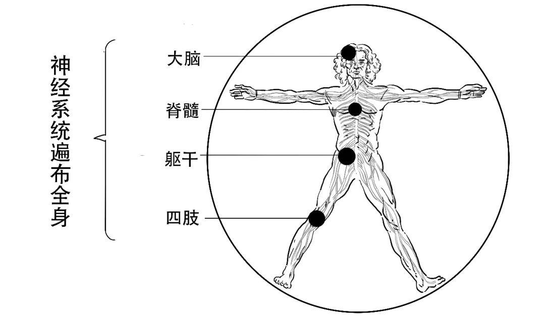 2024年12月31日 第26頁(yè)