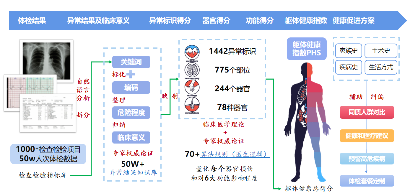 全息健康報告，個性化優(yōu)化方案的定制與實施