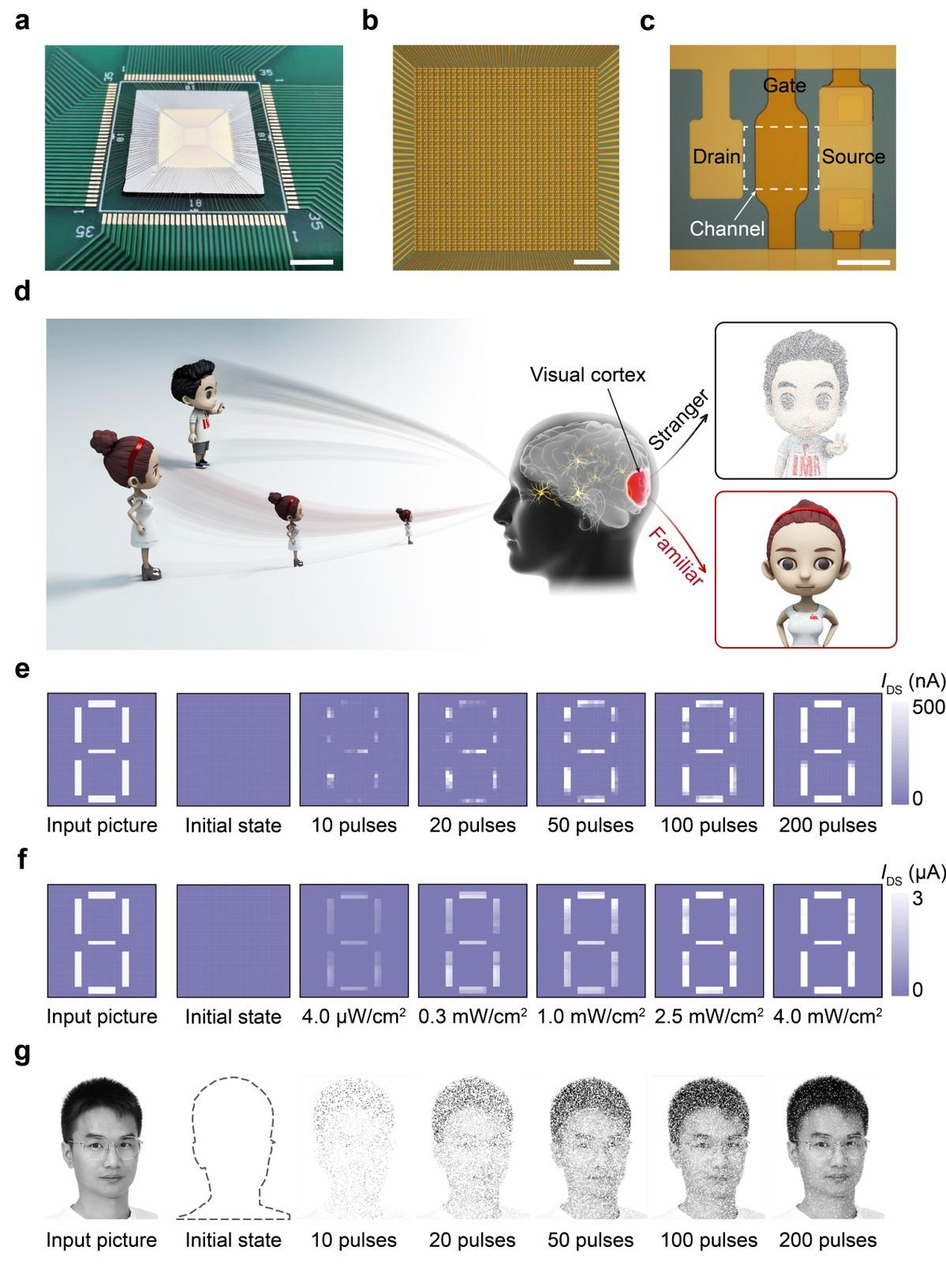 量子傳感器賦能醫(yī)療健康領(lǐng)域革新