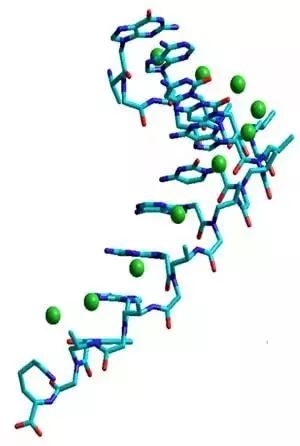 CRISPR基因編輯技術(shù)引領(lǐng)農(nóng)業(yè)新革命，作物改良的突破方向