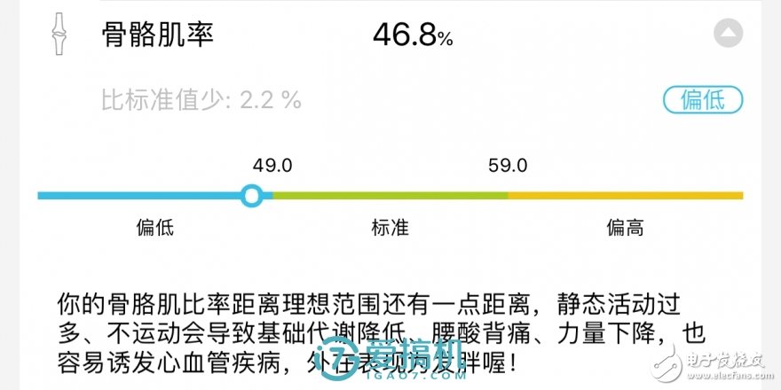 體脂秤，解讀你的健康密碼！