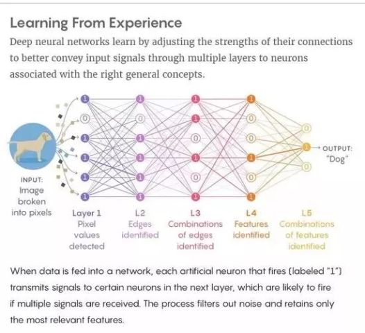 量子計算對人工智能算法的革命性沖擊