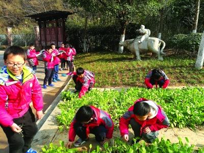 人類增強(qiáng)技術(shù)的道德與法律前沿分析