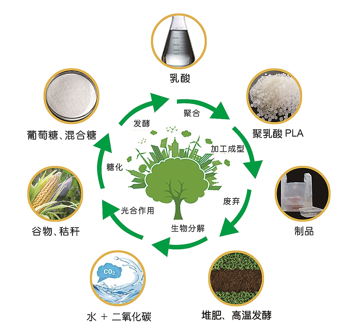 生物降解材料助力全球解決塑料污染問題