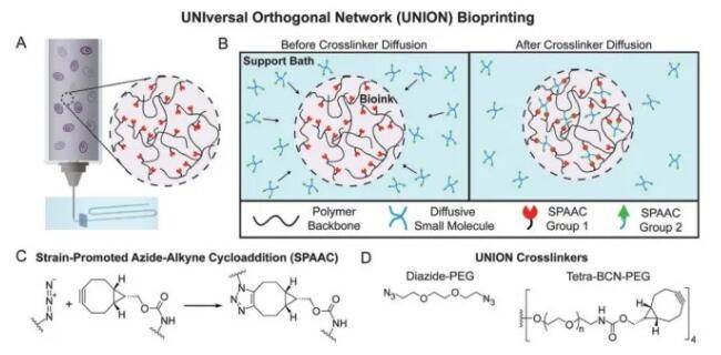 蟲害生物控制技術與減少化學農(nóng)藥的環(huán)境影響策略