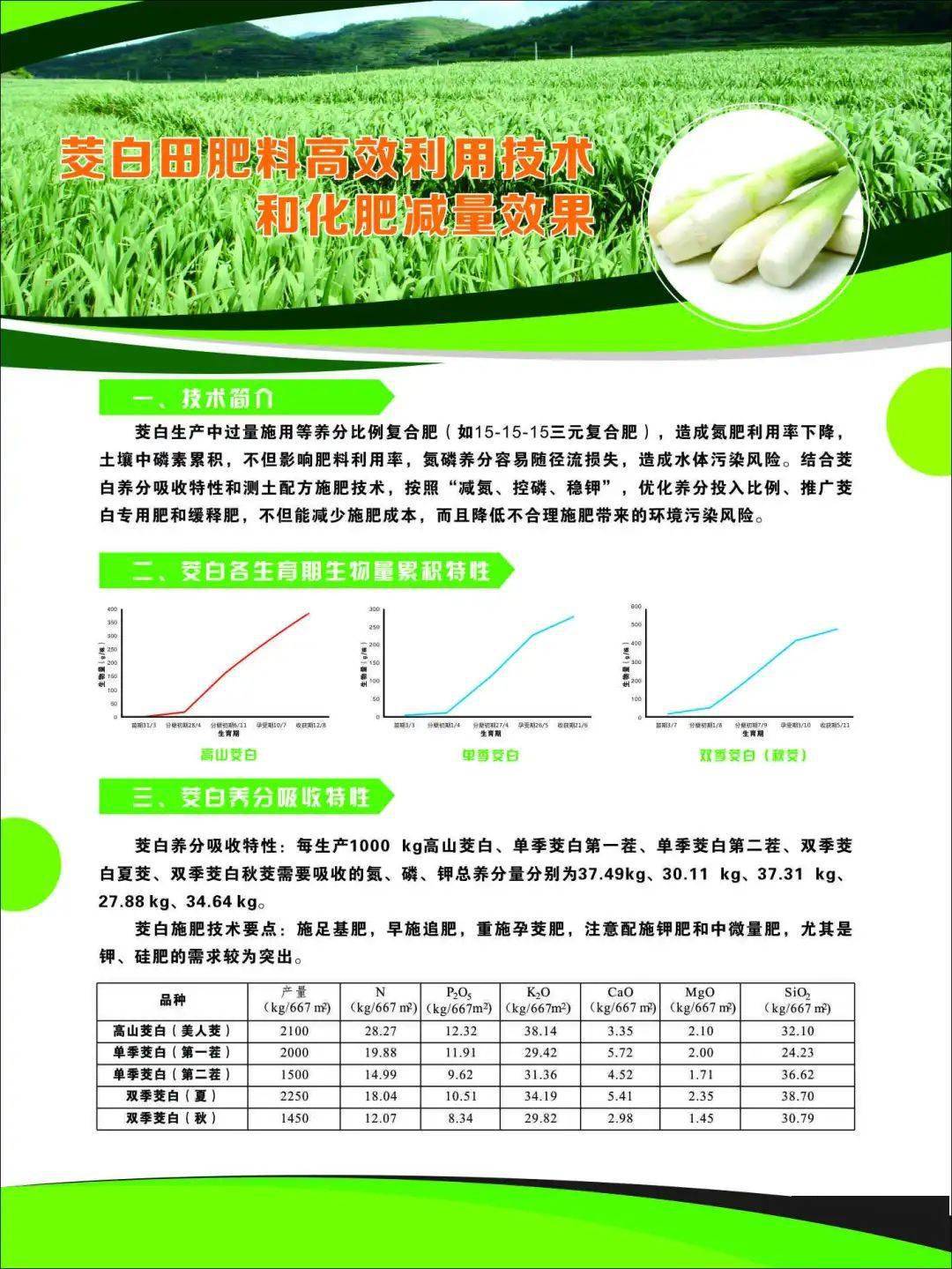 蟲害生物控制技術(shù)與減少化學(xué)農(nóng)藥的環(huán)境影響策略