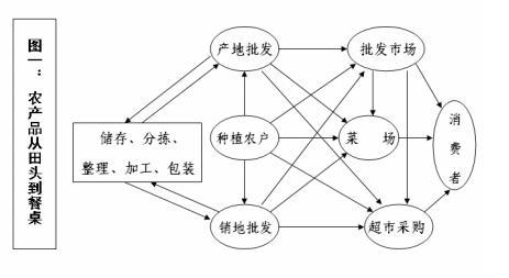 太空農(nóng)業(yè)技術(shù)對日常食品供應(yīng)鏈的影響探究