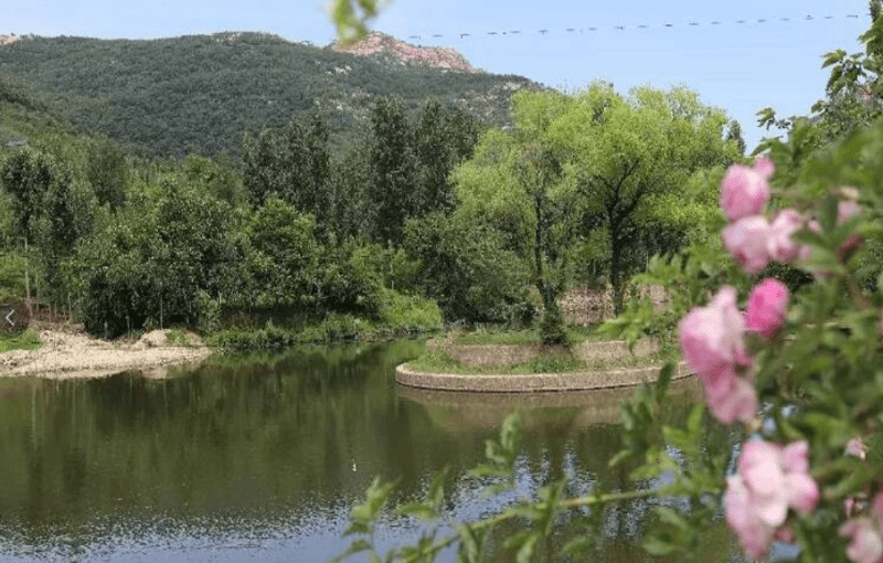 AI驅(qū)動環(huán)境修復(fù)技術(shù)重塑綠水青山美景