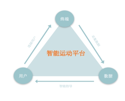 AI在個性化健身方案中的作用及消費者權益保護研究