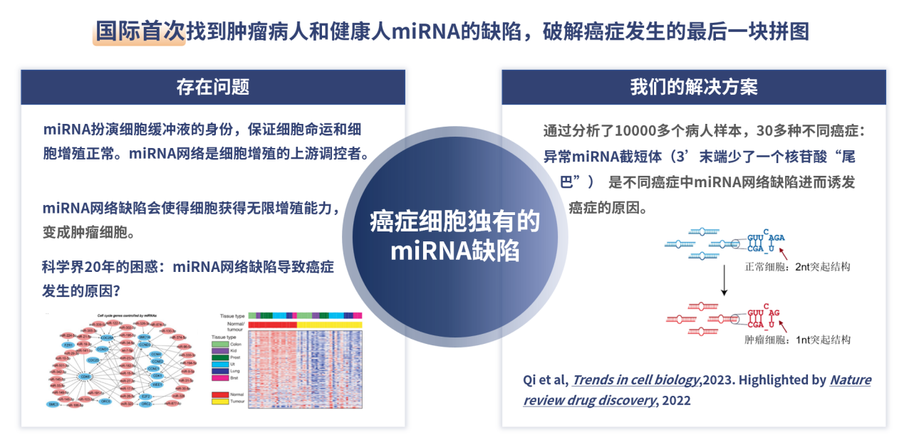 基因療法在罕見病治療中的創(chuàng)新、挑戰(zhàn)與機(jī)遇，法律監(jiān)管框架下的思考