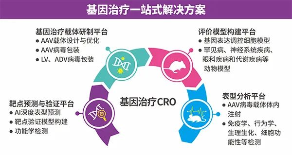 基因療法在罕見病治療中的創(chuàng)新、挑戰(zhàn)與機(jī)遇，法律監(jiān)管框架下的思考