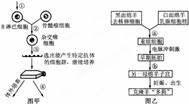 生物數(shù)字化技術(shù)與個人健康控制的未來法律爭議探討