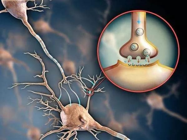 醫(yī)療分子工程實現(xiàn)智能藥物釋放調(diào)控