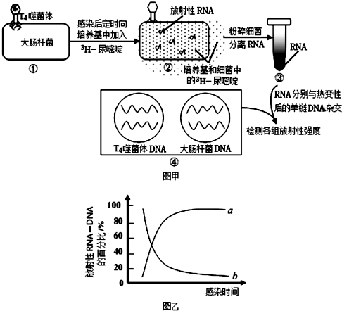 基因編輯技術(shù)助力稀有動(dòng)植物保護(hù)事業(yè)拓展應(yīng)用范圍