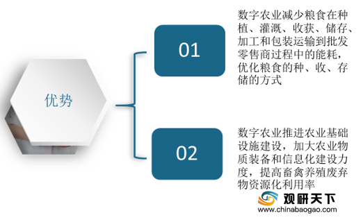 數(shù)字農(nóng)業(yè)管理平臺(tái)助力精準(zhǔn)化耕作技術(shù)革新