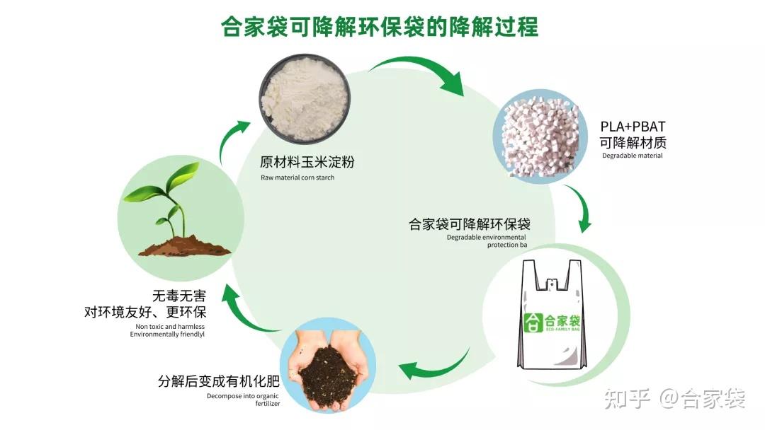 新型環(huán)保材料研發(fā)成功，塑料替代品成矚目焦點(diǎn)