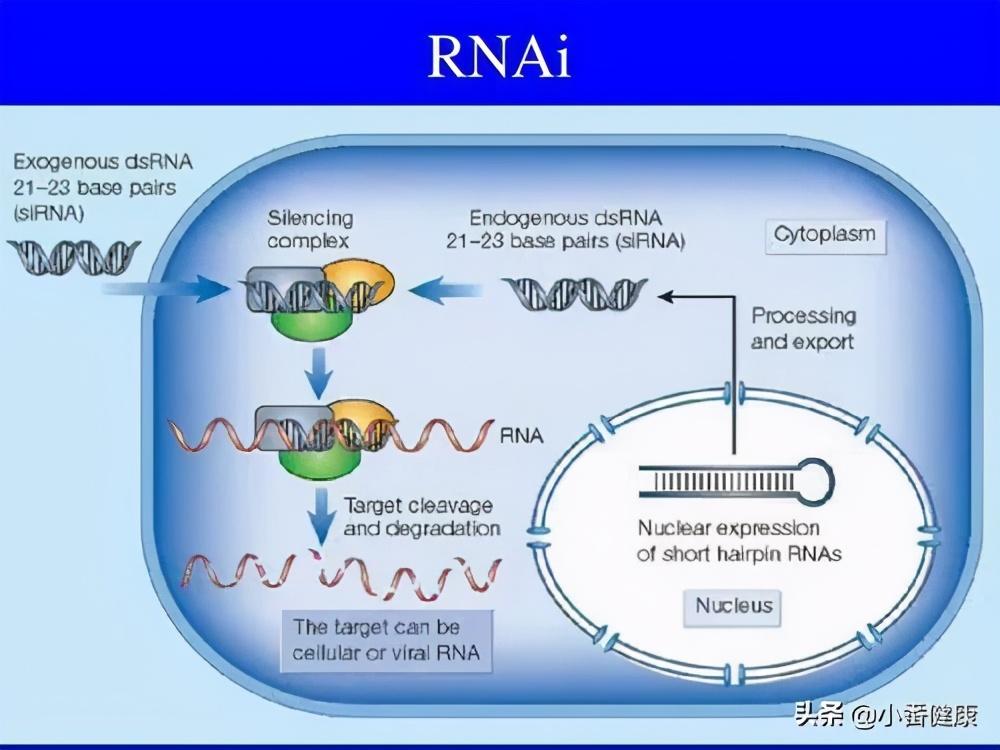 基因組學助力罕見疾病精準治療突破新篇章