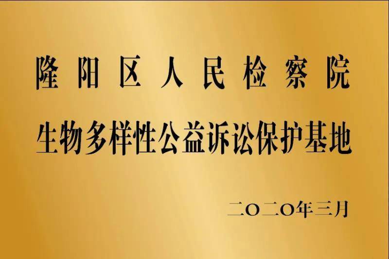 國際語言保護行動推動文化多樣性傳承的深化