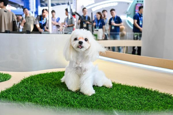 養(yǎng)寵物催生超7000億元寵物市場