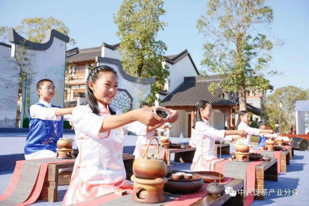 福建武夷山紅茶文化深度體驗(yàn)之旅