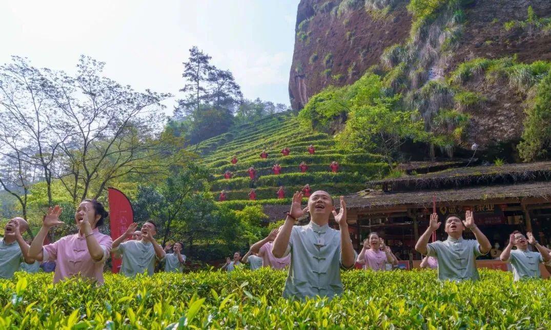 福建武夷山紅茶文化深度體驗(yàn)之旅