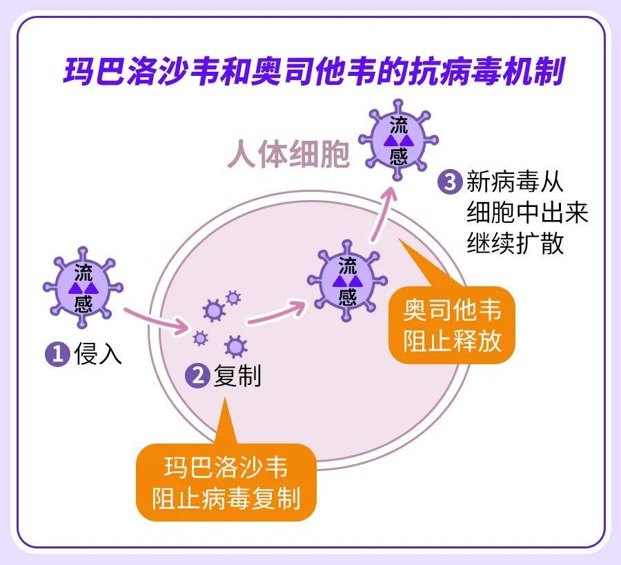 瑪巴洛沙韋需求激增超200%，市場趨勢分析及挑戰(zhàn)探討