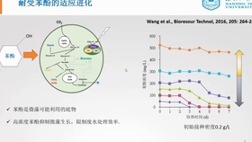 可再生能源技術(shù)重塑全球能源格局，一場(chǎng)顛覆性的變革