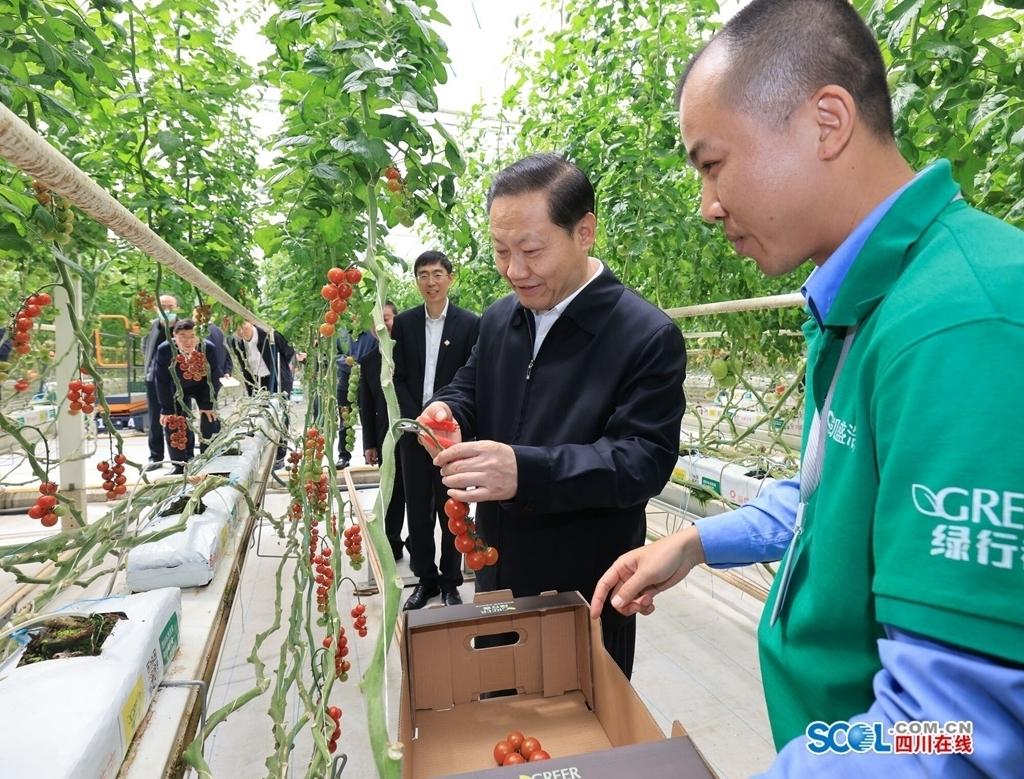 新型太陽能技術(shù)革新引領(lǐng)未來能源革命，新能源應(yīng)用的新篇章