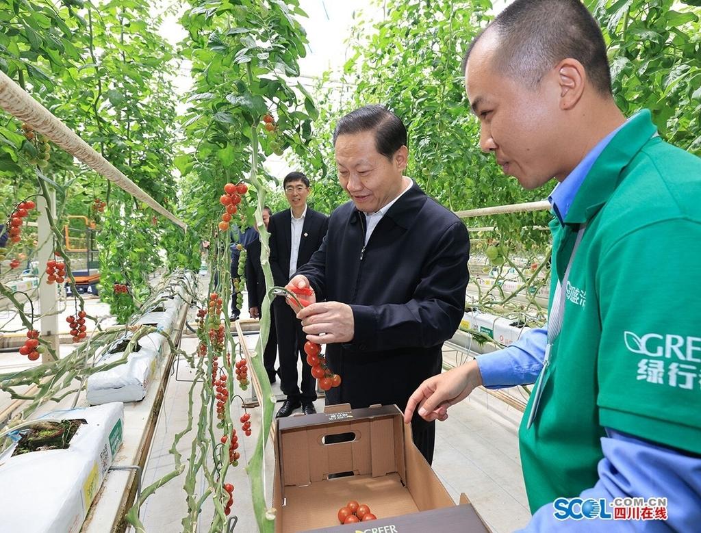 新型太陽能技術(shù)革新引領(lǐng)未來能源革命，新能源應(yīng)用的新篇章