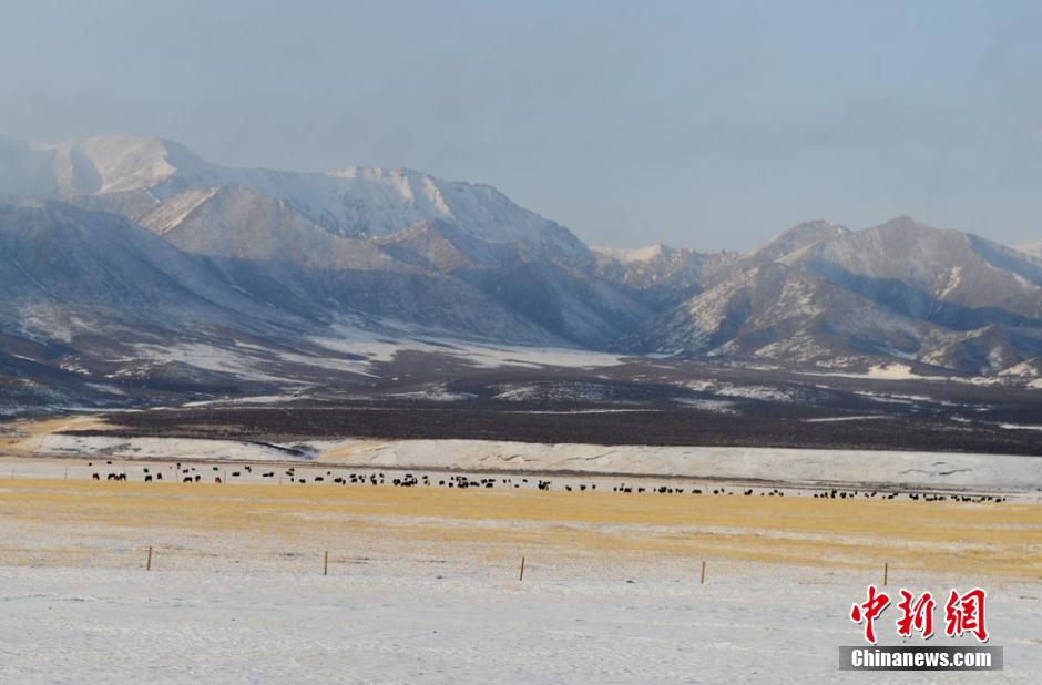 祁連山冬季雪原徒步線路開放，冰雪奇境的挑戰(zhàn)之旅探索