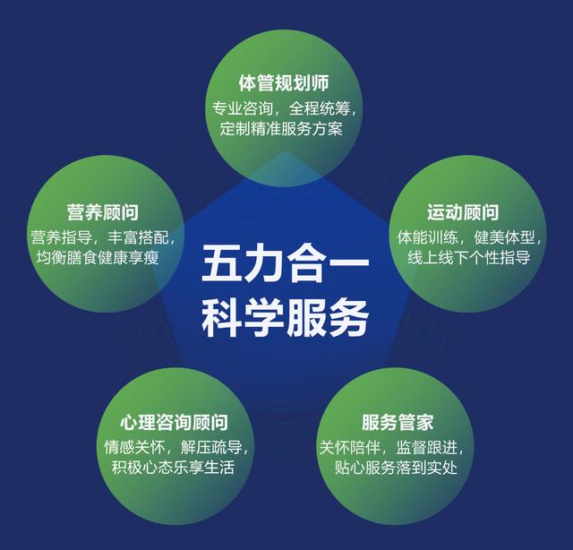 數(shù)據(jù)驅動經濟模式重塑企業(yè)決策效率