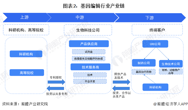 精準農(nóng)業(yè)技術助力糧食產(chǎn)量與品質提升