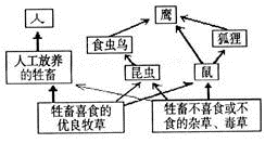 環(huán)境感知系統(tǒng)優(yōu)化資源調(diào)配，構(gòu)建可持續(xù)未來的關(guān)鍵路徑與生態(tài)保護之道