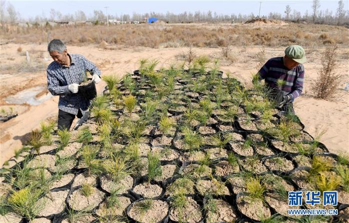 自動化植樹設備助力荒漠化地區(qū)生態(tài)恢復進程